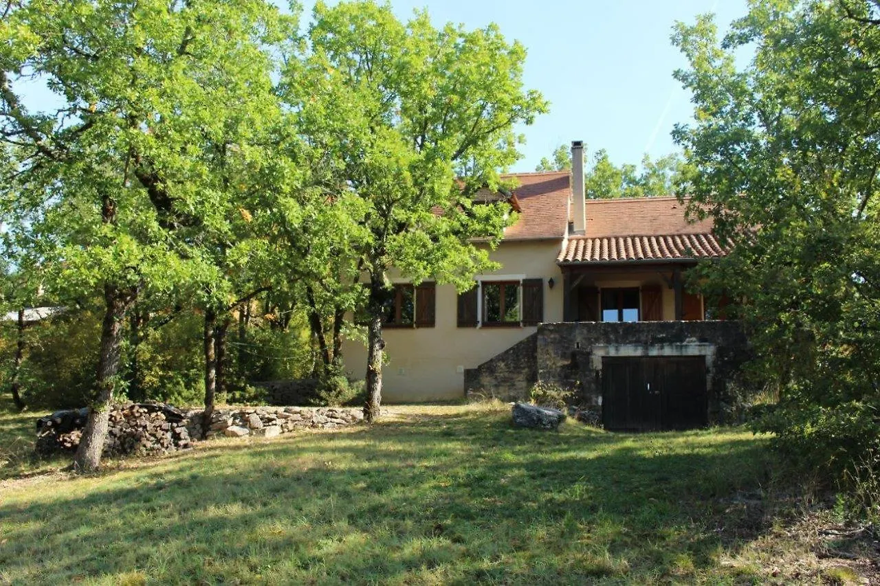 Domaine De Gayfie Villa Salvagnac-Cajarc
